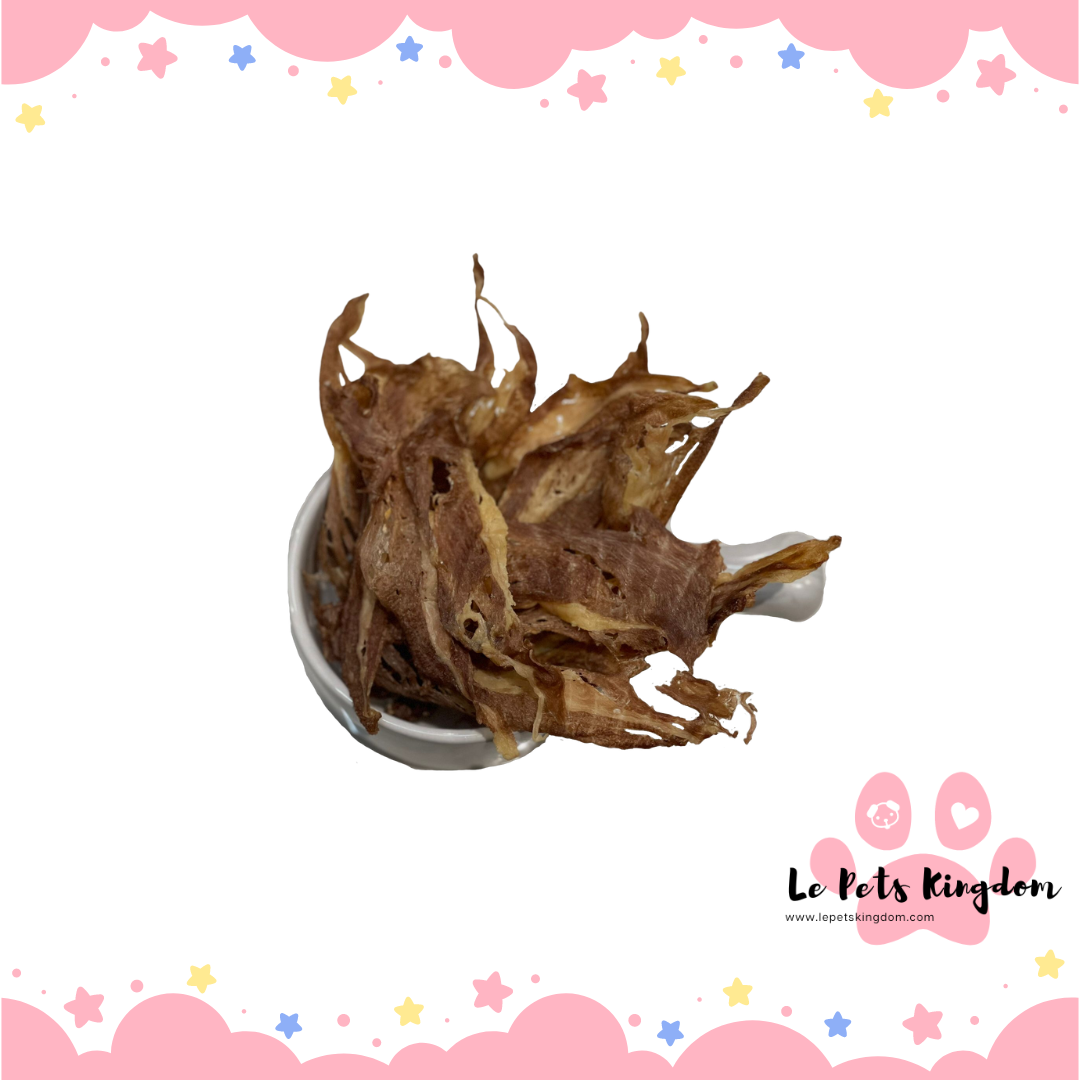 Homemade Dehydrated Beef Slice Treats