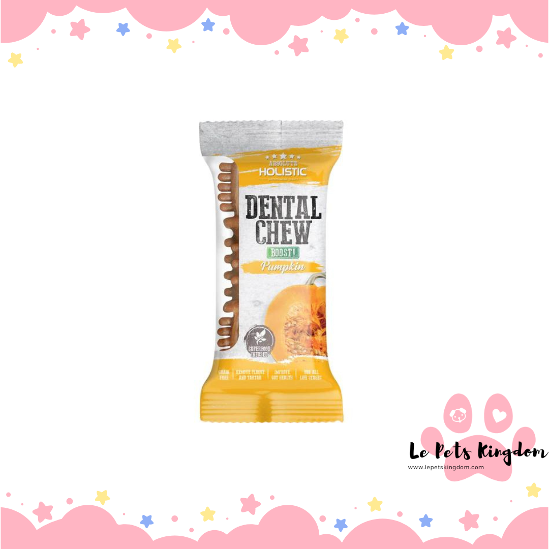 Absolute Holistic Boost Pumpkin Grain-Free Dental Dog Chew