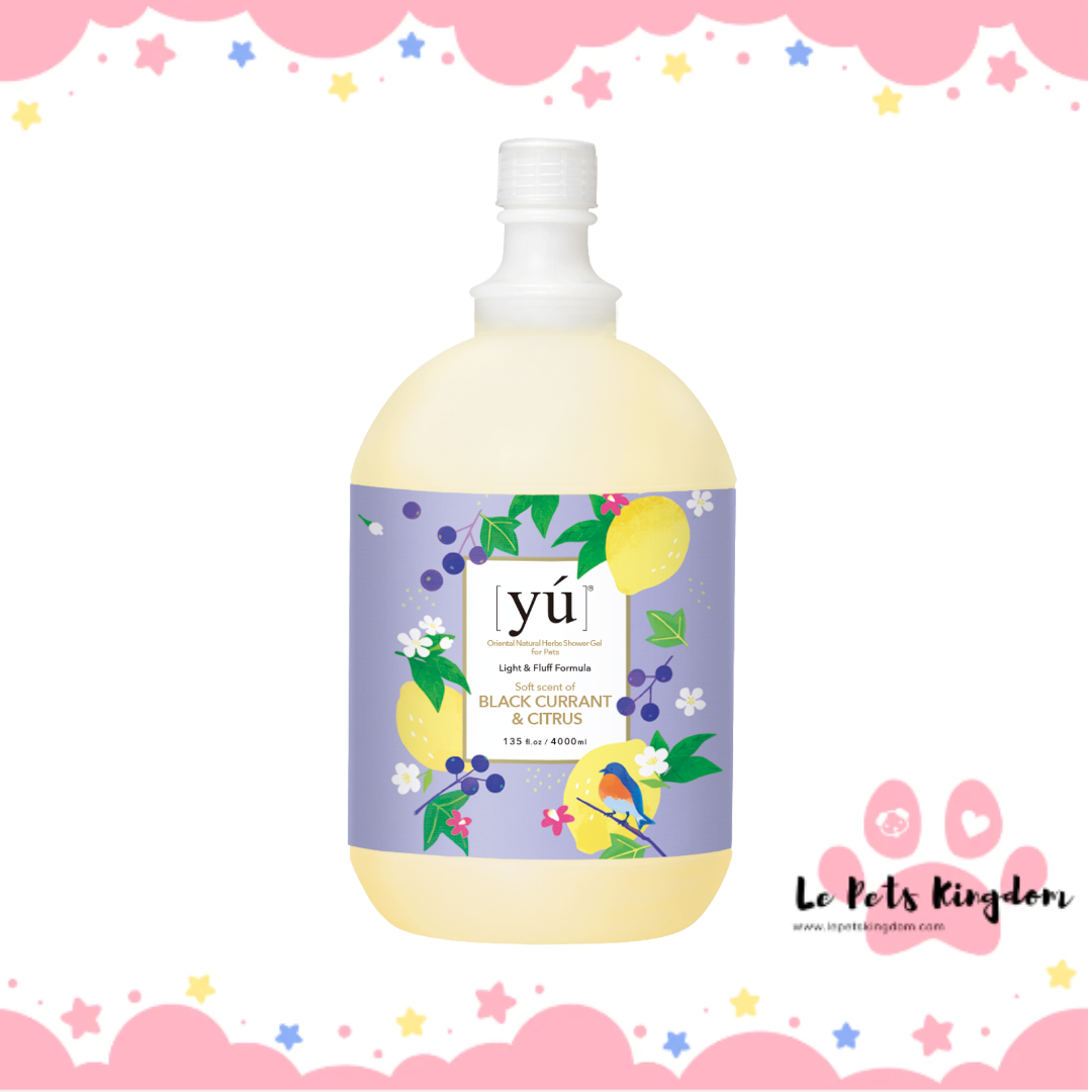 YU Light & Fluff Formula Oriental Natural Herbs Shower Gel for Cats & Dogs - Blackcurrent & Citrus