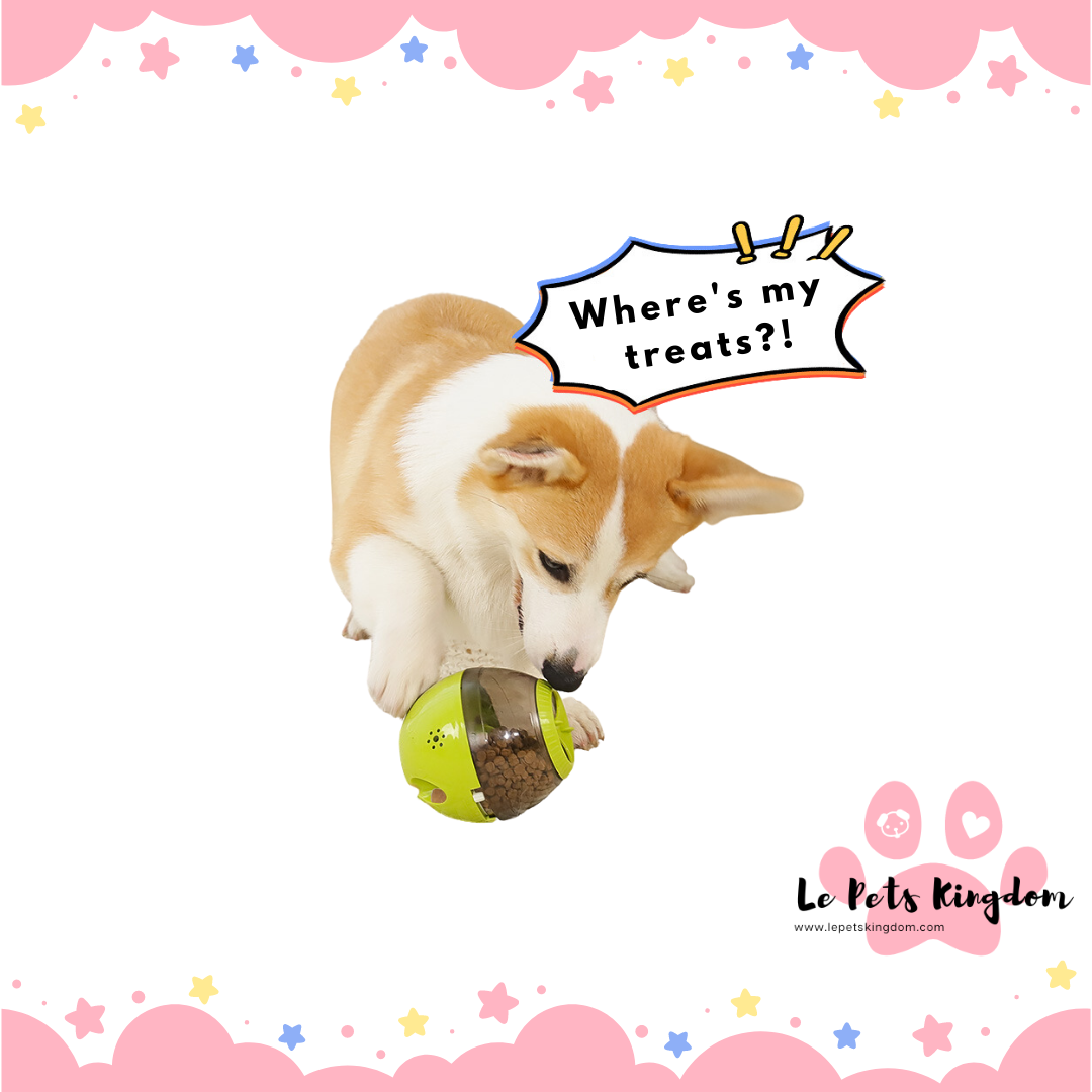 Boi-ing! Shaky Egg Toy With Sound (Green/ Pink)