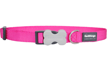 RedDingo - Bucklebone Dog Collar 12mm