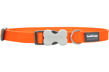 RedDingo - Bucklebone Dog Collar 12mm