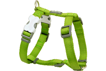RedDingo - Classic Dog Harness 15mm