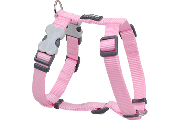 RedDingo - Classic Dog Harness 20mm