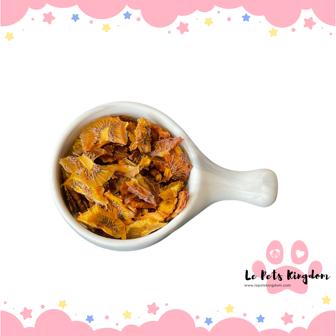 Homemade Dehydrated Kiwi Treats