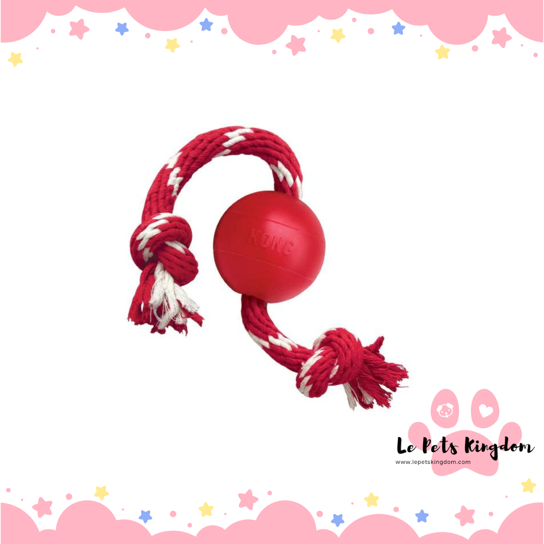 KONG Classic Ball with Rope Dog Toy
