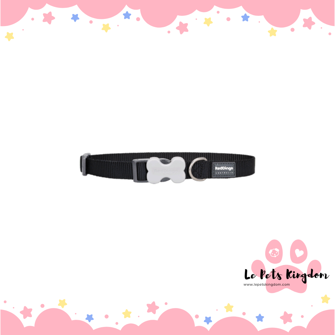 RedDingo - Bucklebone Dog Collar 12mm