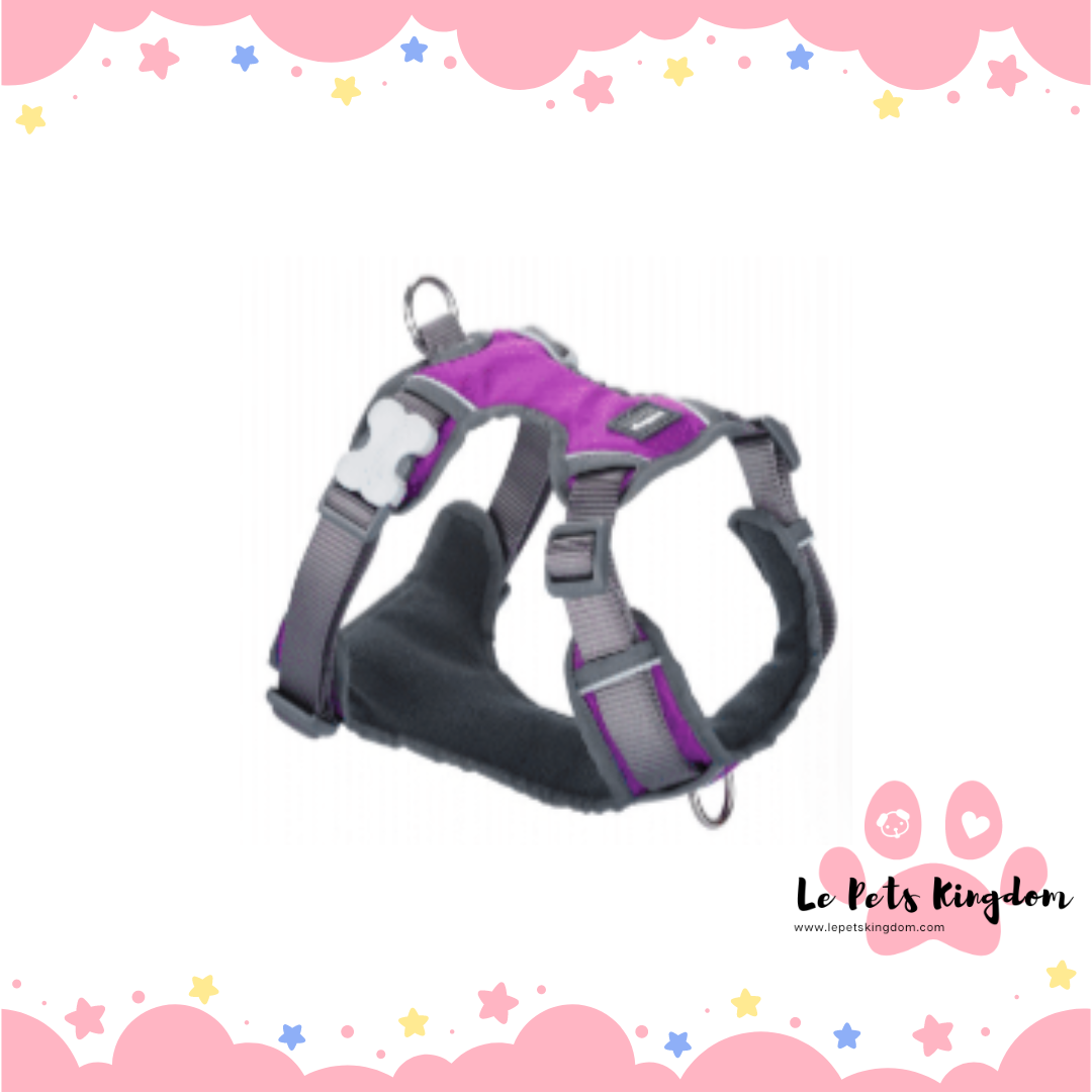 RedDingo - Padded Dog Harness (Purple)