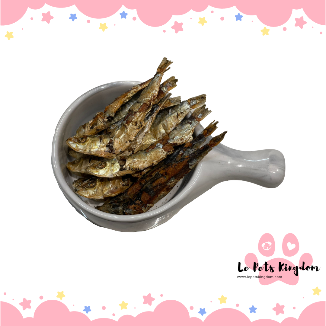 Homemade Dehydrated Sardine Treats