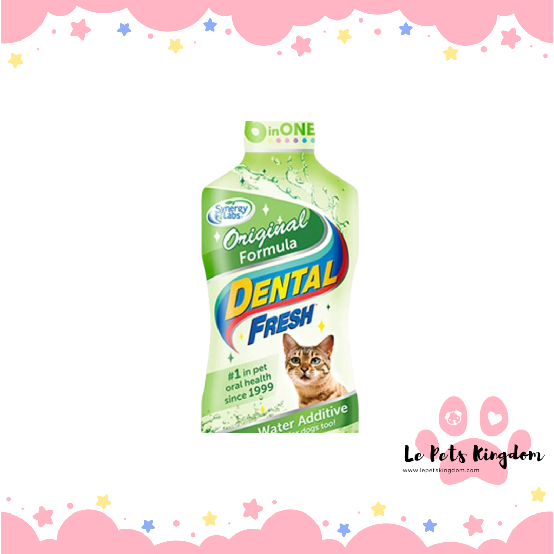 SynergyLab Dental Fresh For Cat 8oz