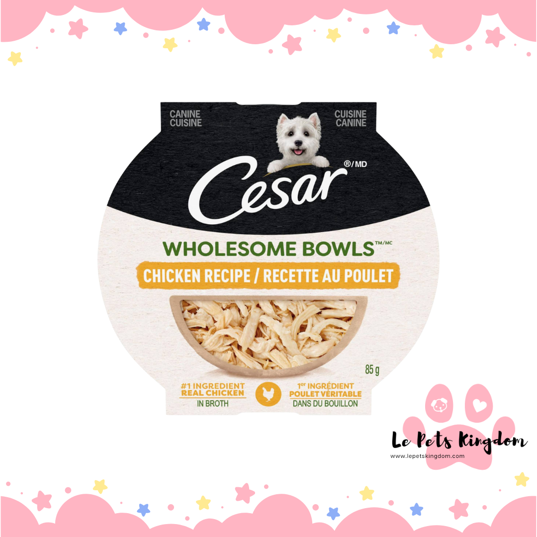 CESAR WHOLESOME BOWLS™ Adult Wet Dog Food Chicken 85g