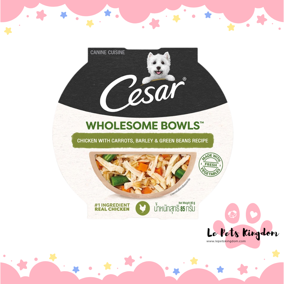 CESAR WHOLESOME BOWLS™ Adult Wet Dog Food Chicken, Carrots, Barley & Green Beans 85g