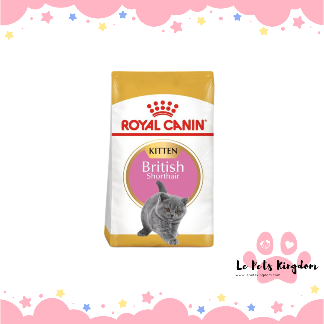 Royal Canin Feline British Shorthair Kitten Dry Cat Food 0.4kg