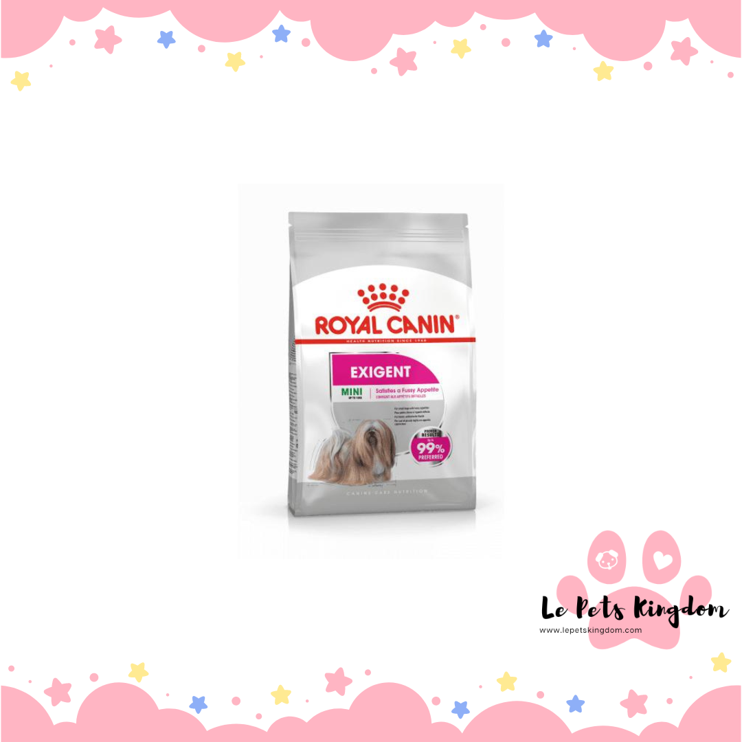 Royal Canin Mini Exigent Fussy Appetite Dry Dog Food