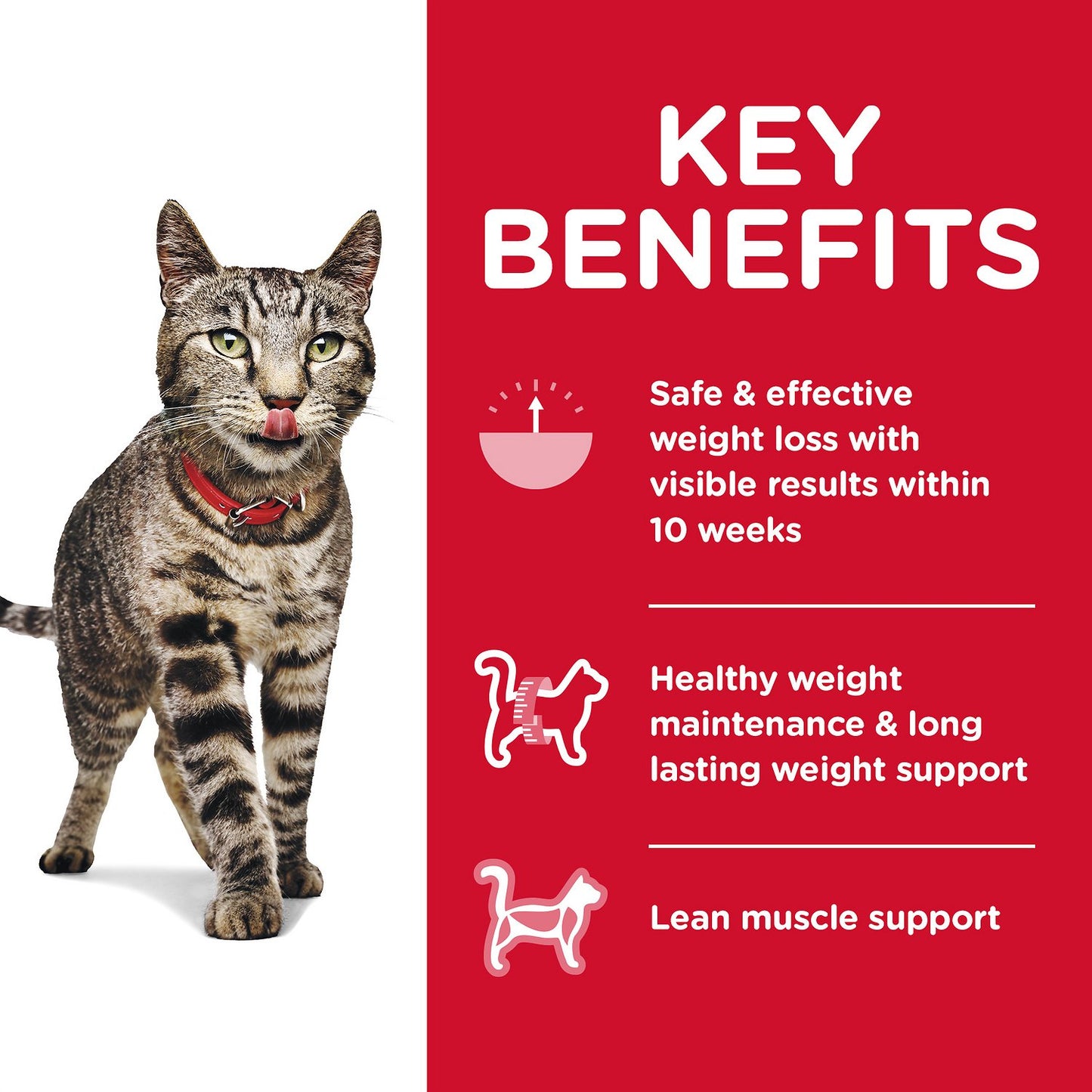 Hills Science Diet Perfect Weight Chicken Dry Cat Food