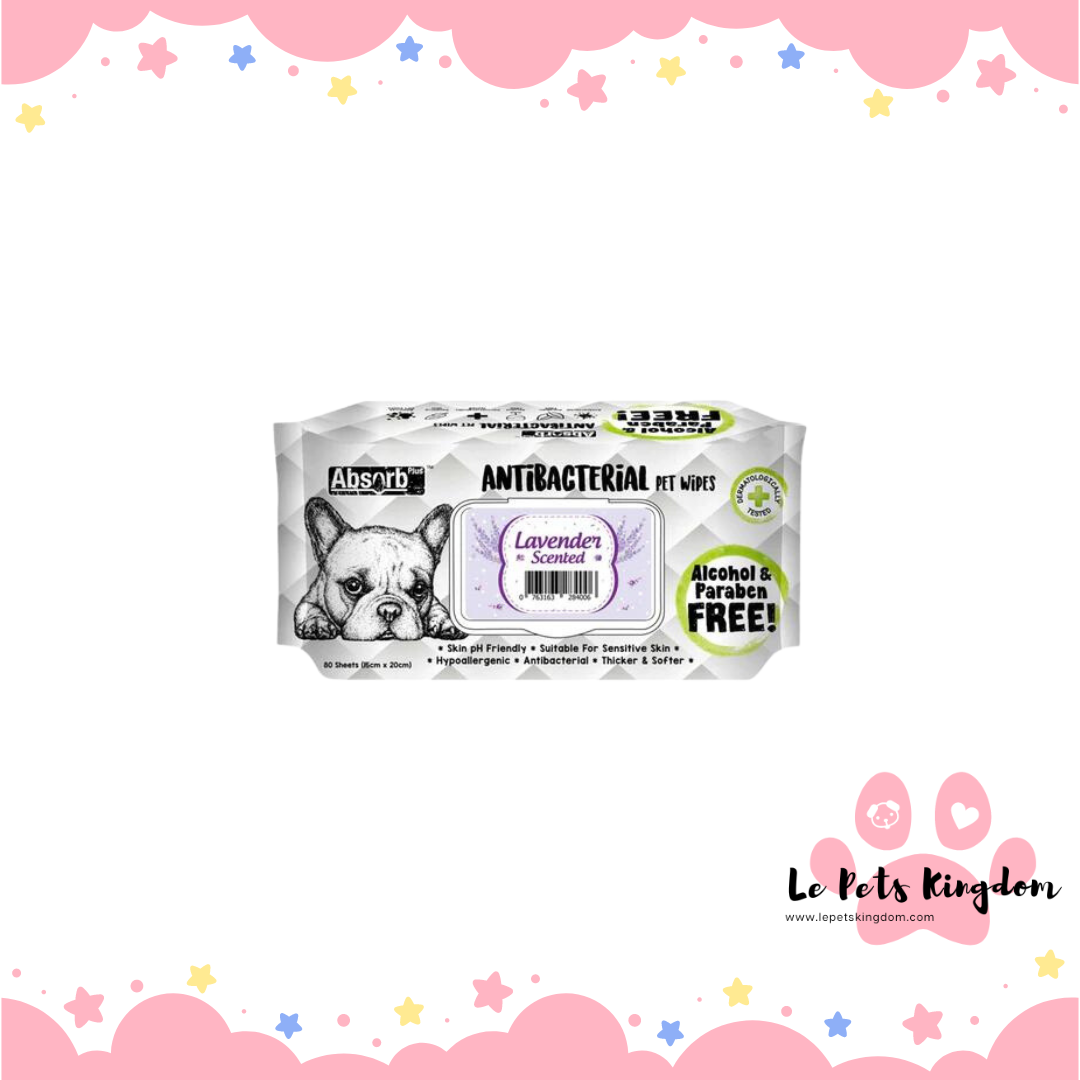 Absorb Plus Antibacterial Pet Wipes 80pcs