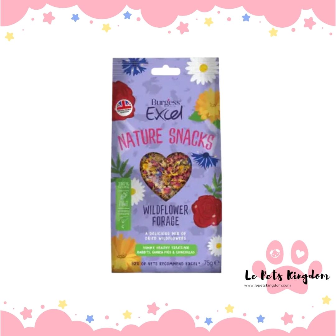 Burgess Excel Nature Snacks Wildflower Forage Treats For Small Animals 75g