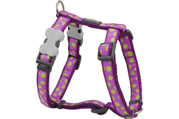 RedDingo - Spots Dog Harness