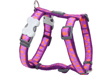 RedDingo - Spots Dog Harness