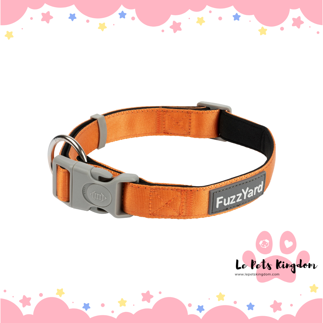 FuzzYard Dog Collar (Crush)
