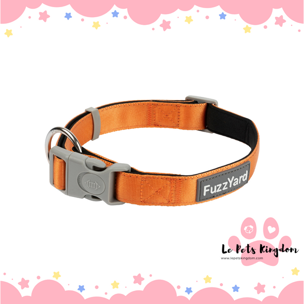 FuzzYard Dog Collar (Crush)