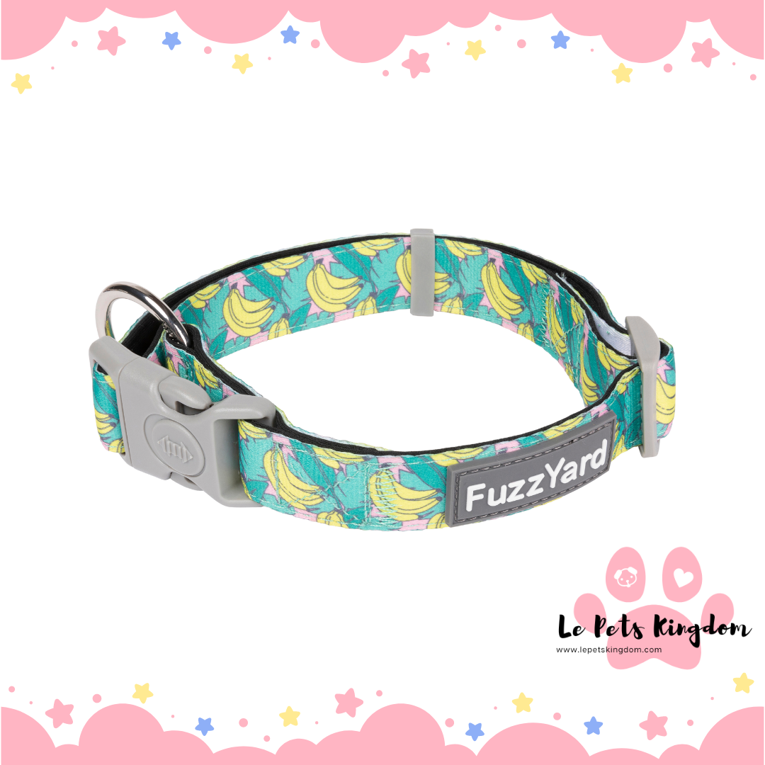 FuzzYard Dog Collar (Bananarama)