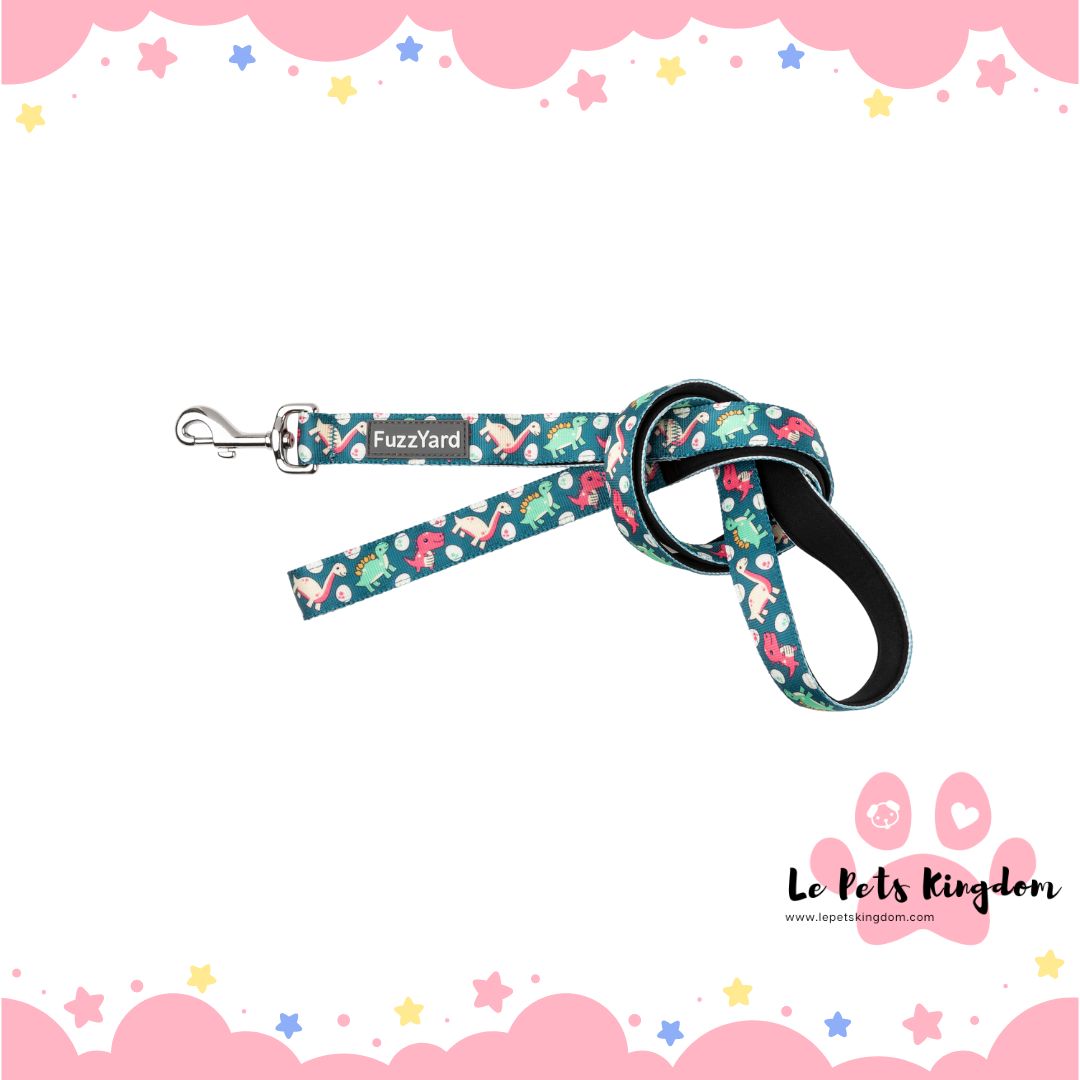 FuzzYard Dog Leash (Dinosaur Land)