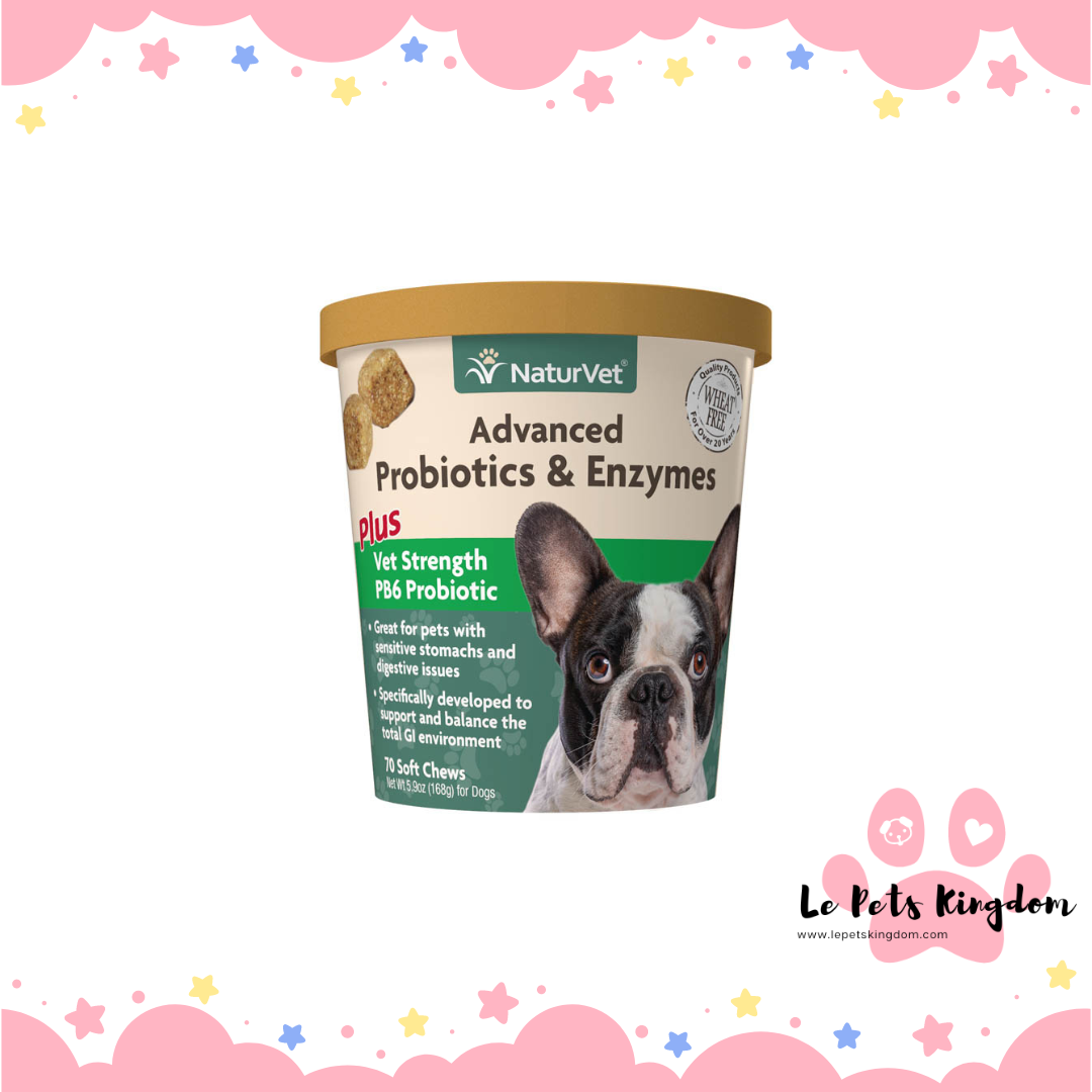 Naturvet - Advanced Probiotics and Enzyme Soft Chew 70ct