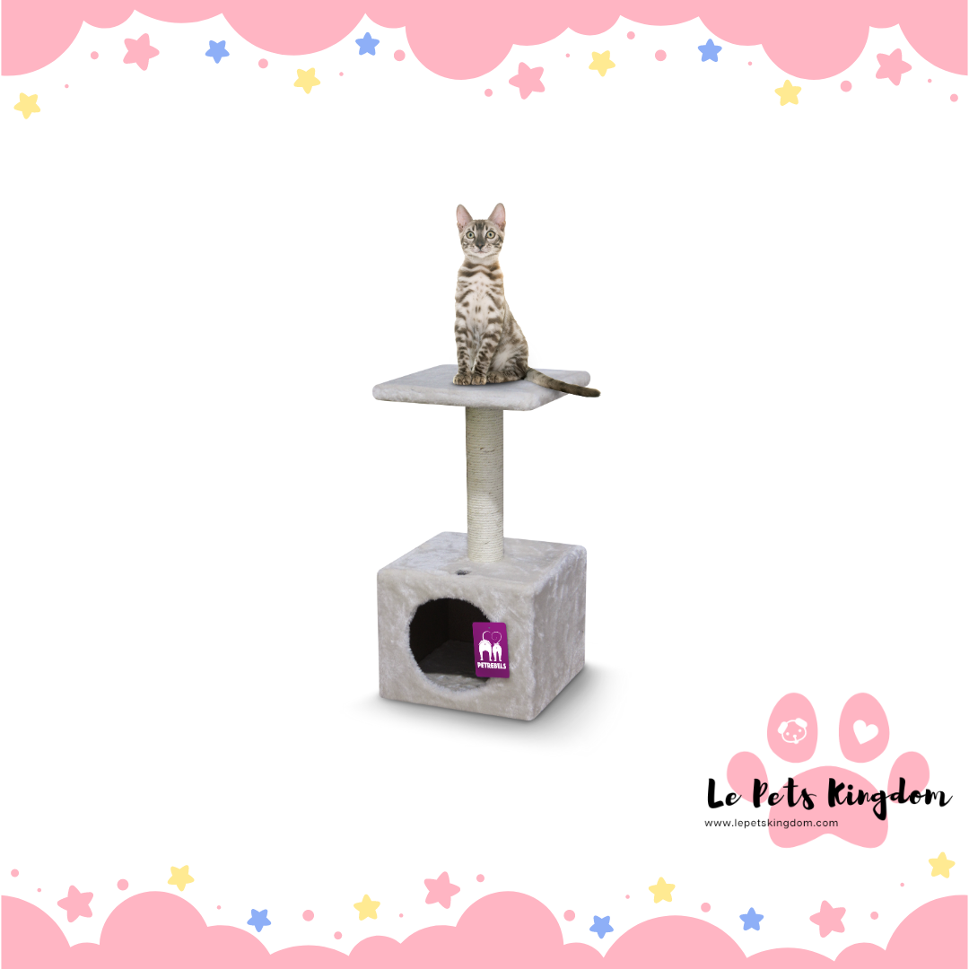 PetRebels - Cheap Bastards Alanta 60