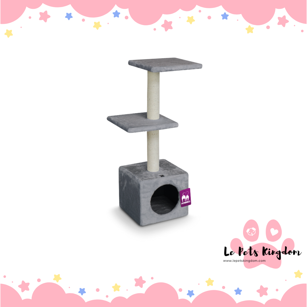 PetRebels - Cheap Bastards Boston 90