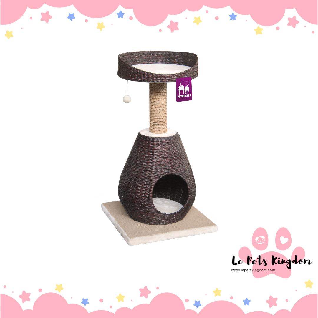 PetRebels - Natural Eco Lovers Caribbean Beach 89