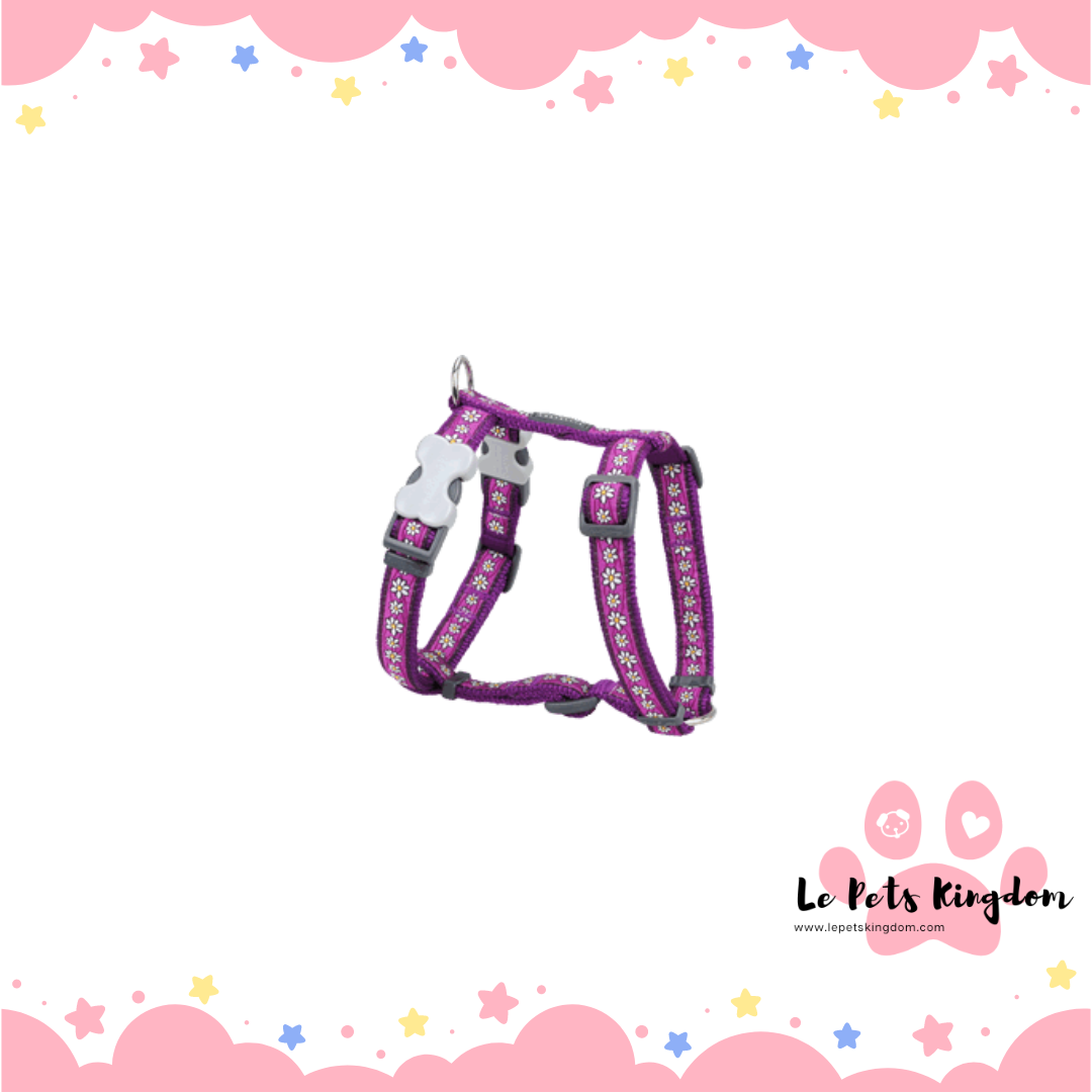 RedDingo - Daisy Dog Harness