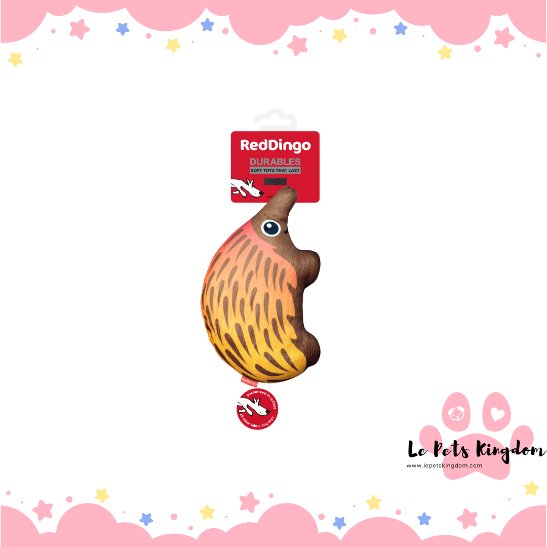 RedDingo - Durables Dog Toys (Eddie The Echidna)