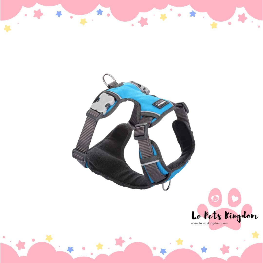RedDingo - Padded Dog Harness (Turquoise)