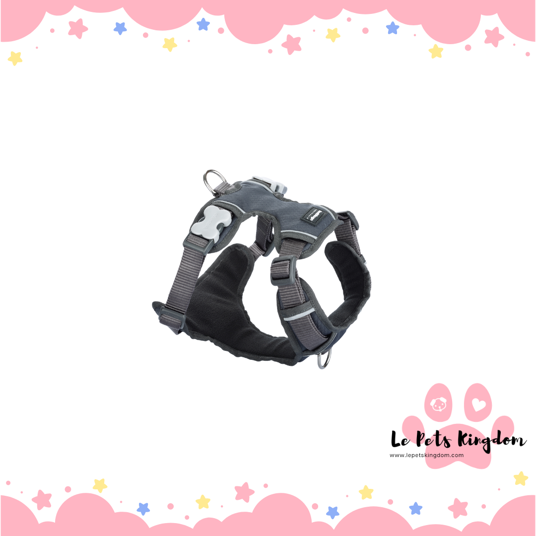 RedDingo - Padded Dog Harness (Charcoal)
