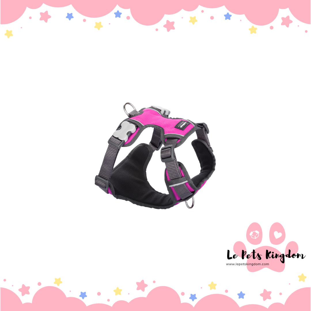 RedDingo - Padded Dog Harness (Hot Pink)