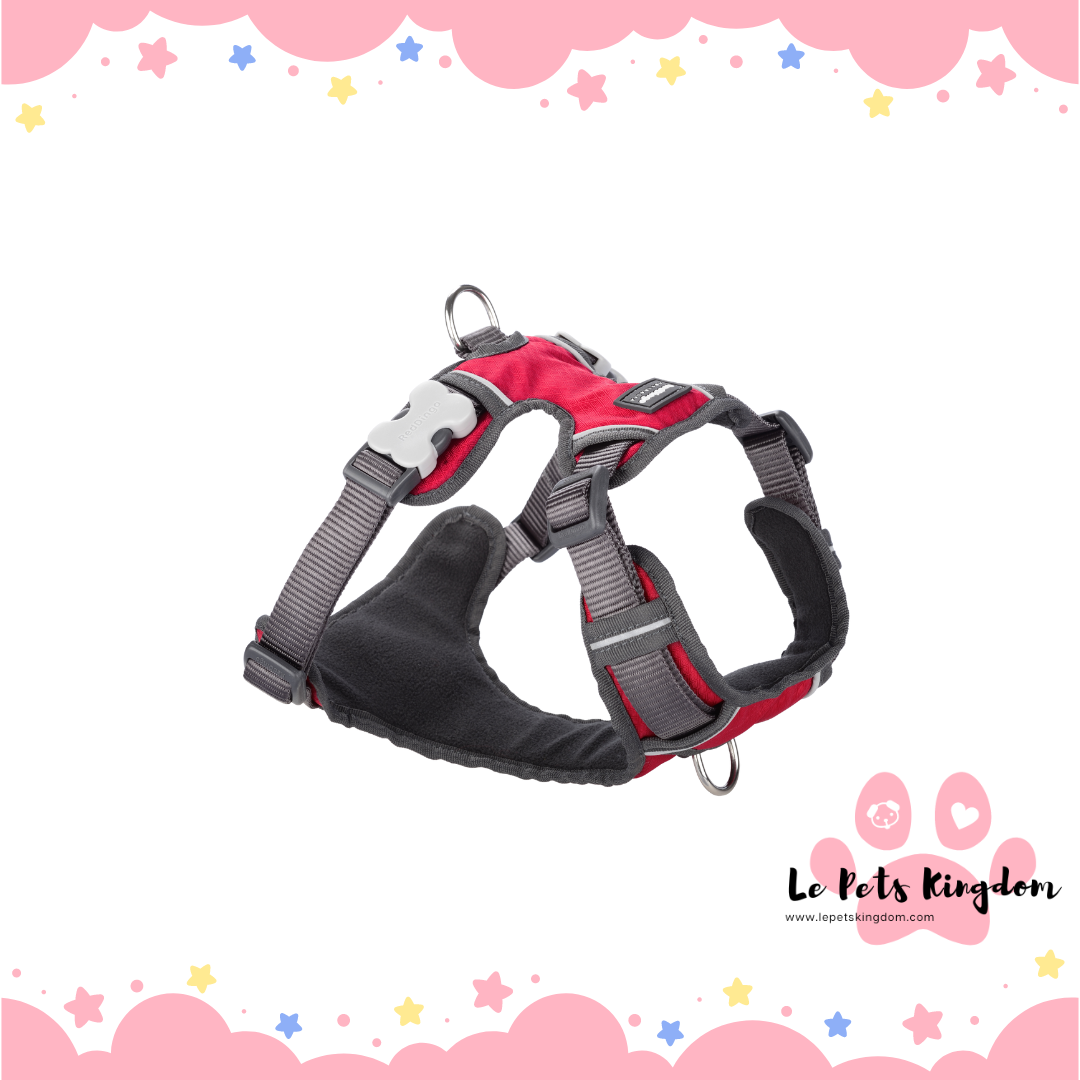 RedDingo - Padded Dog Harness (Red)