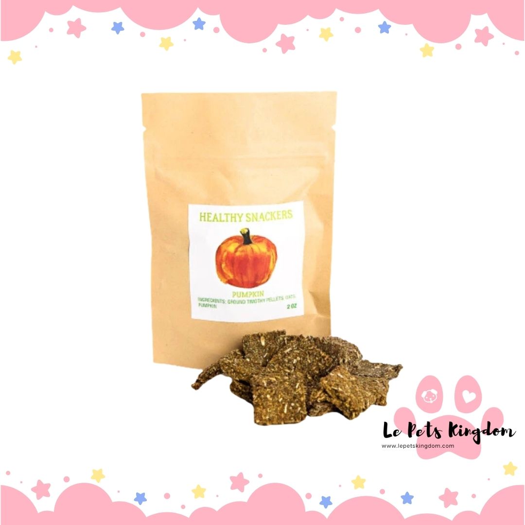 Small Pet Select Healthy Snackers Pumpkin Small Animal Treats 2oz