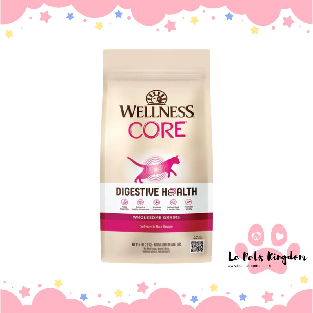 Wellness CORE Digestive Health Salmon & Rice Adult Dry Cat Food