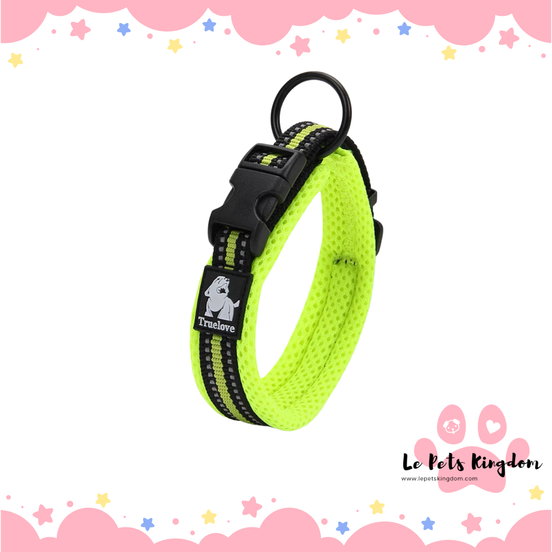 TRUELOVE Breathable Neck Collar (Neon Green)