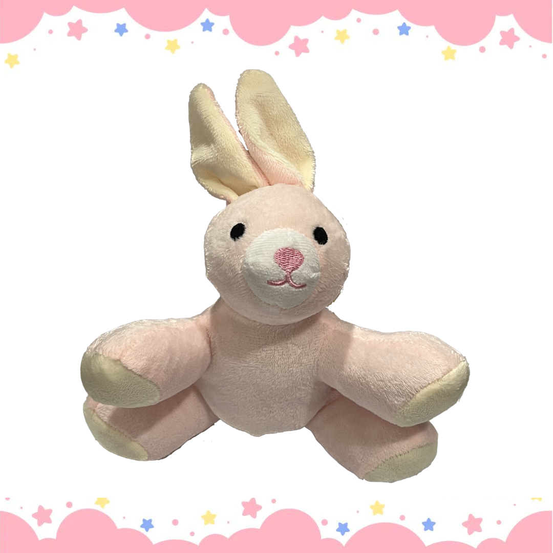 Bunny Squeaky Dog Toy