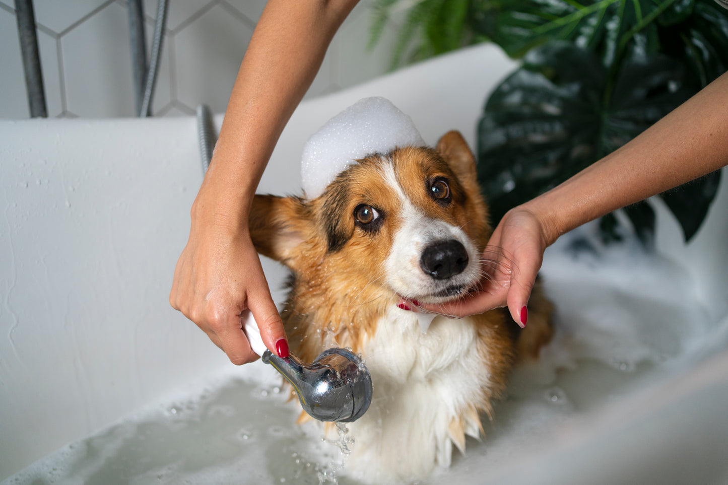 Treatment Services