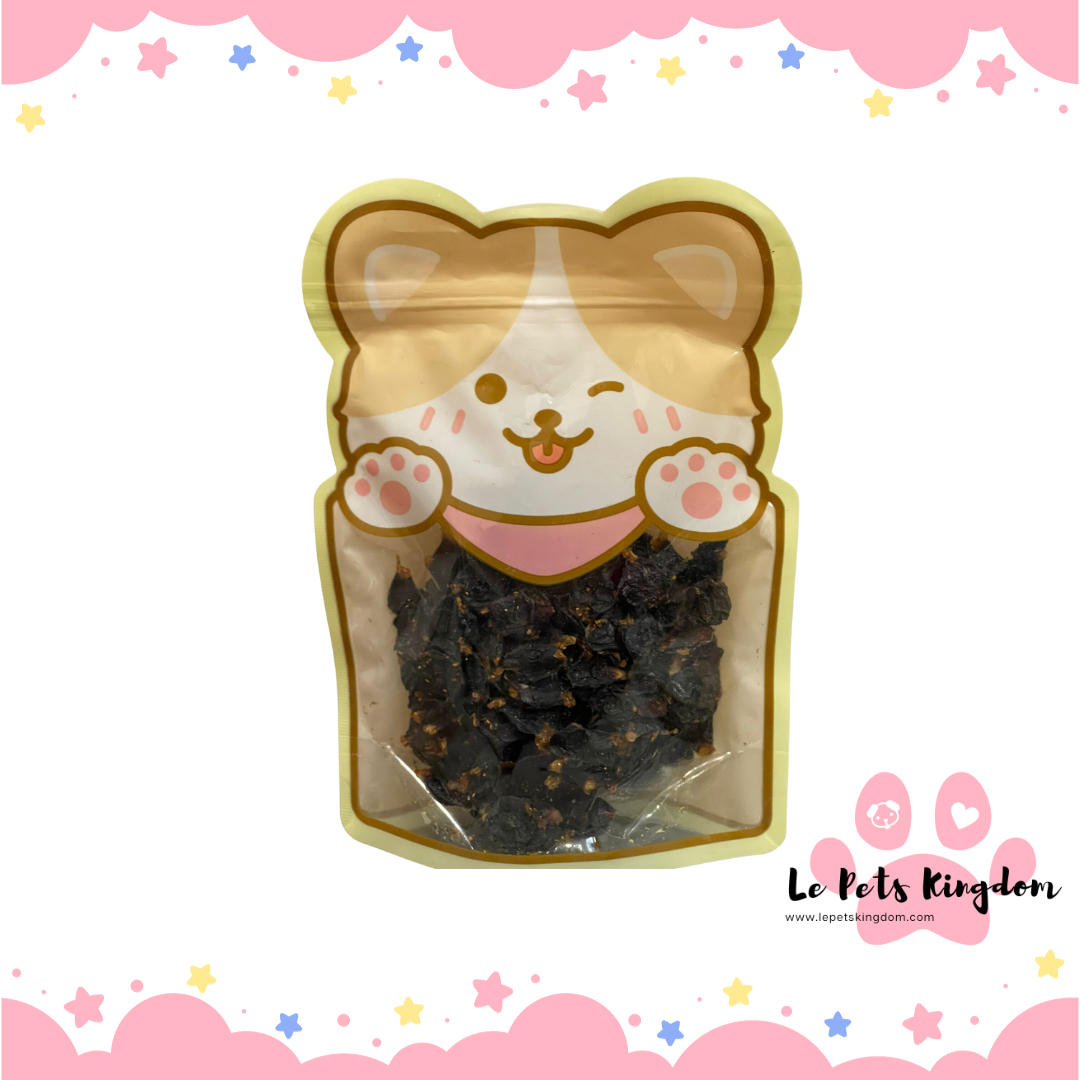 Homemade Dehydrated Blueberry Treats