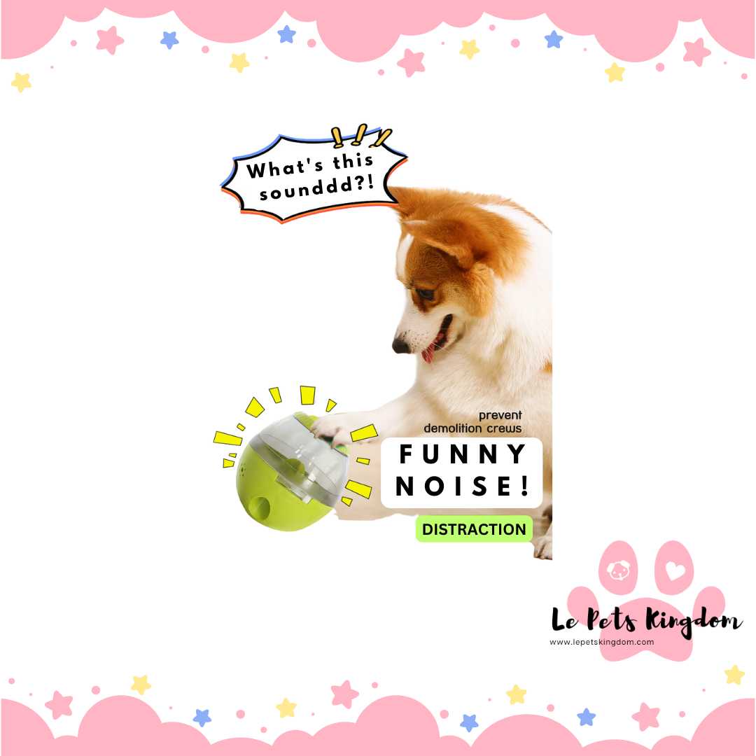 Boi-ing! Shaky Egg Toy With Sound (Green/ Pink)