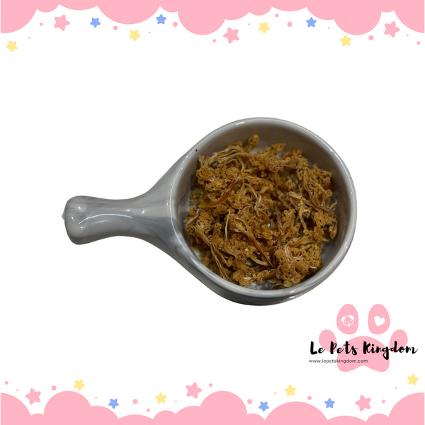 Homemade Dehydrated Cauliflower Treats