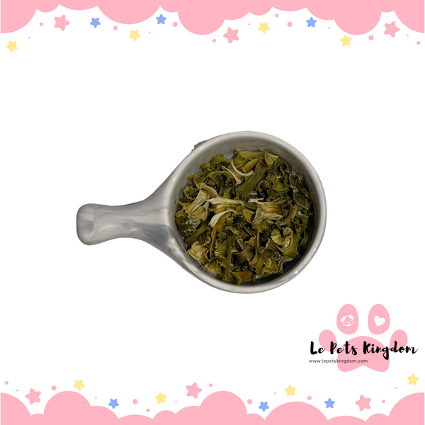 Homemade Dehydrated Celery Treats