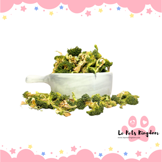 Homemade Dehydrated Broccoli Treats