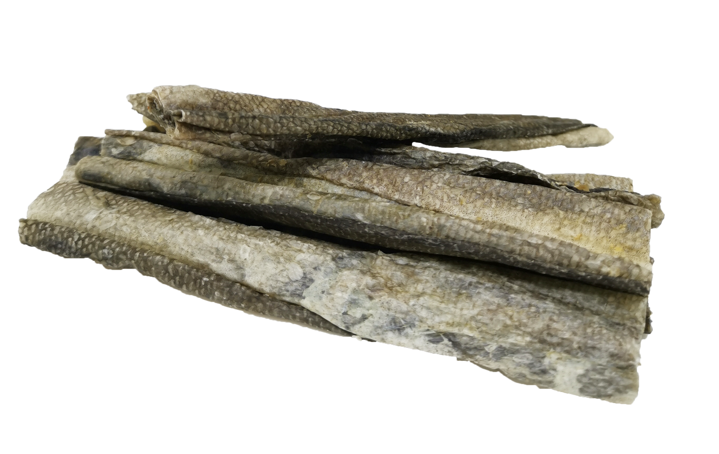 [BUNDLE OF 2] Just Fish - Fish Pipes