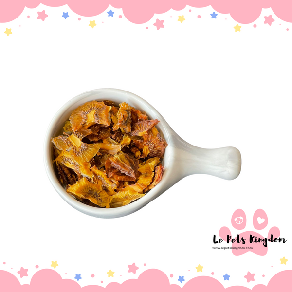 Homemade Dehydrated Kiwi Treats