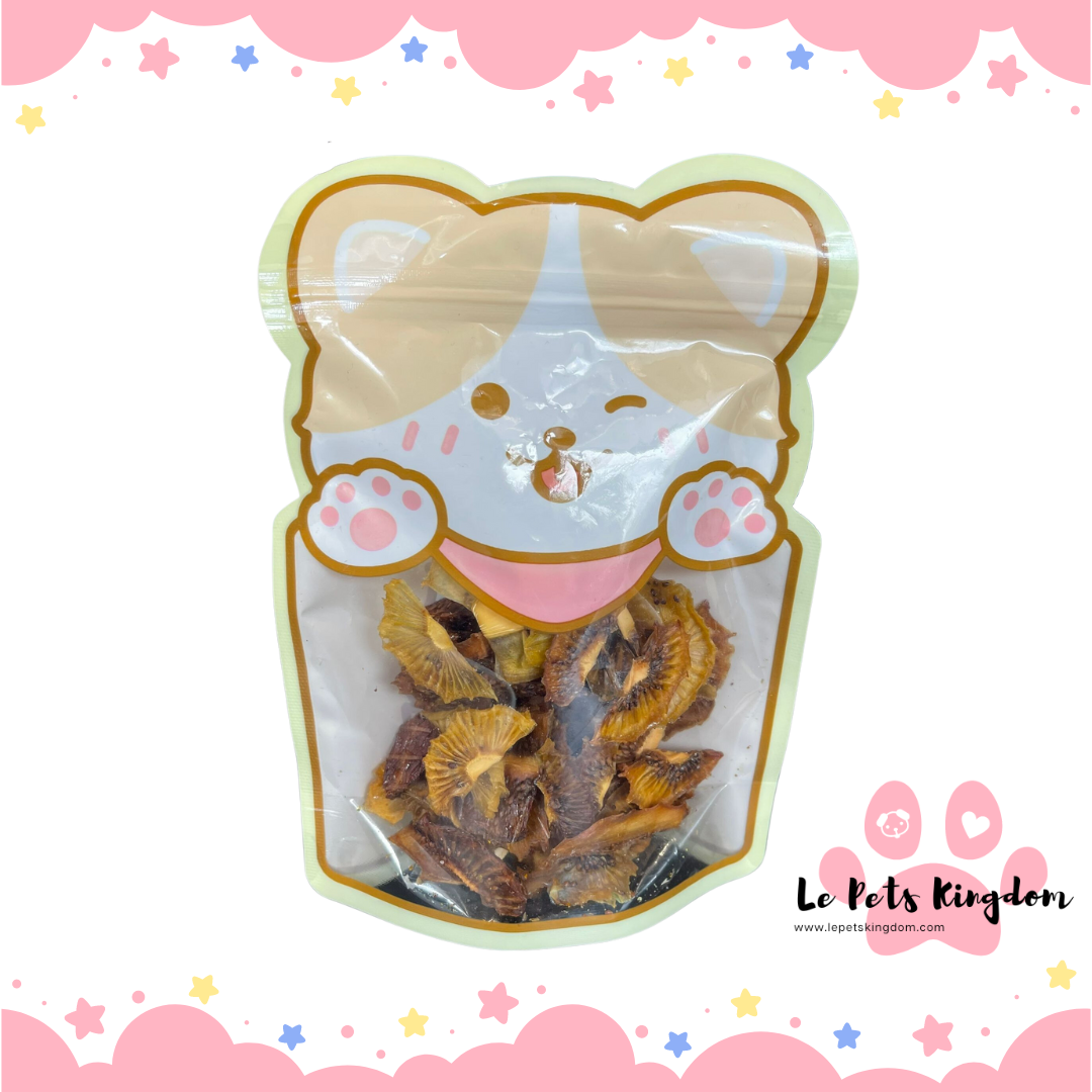 [10.10 SALE] Homemade Dehydrated Fruit Treats 30g X 2 Packs